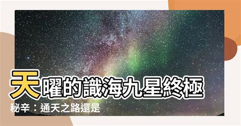 識海九星是什麼